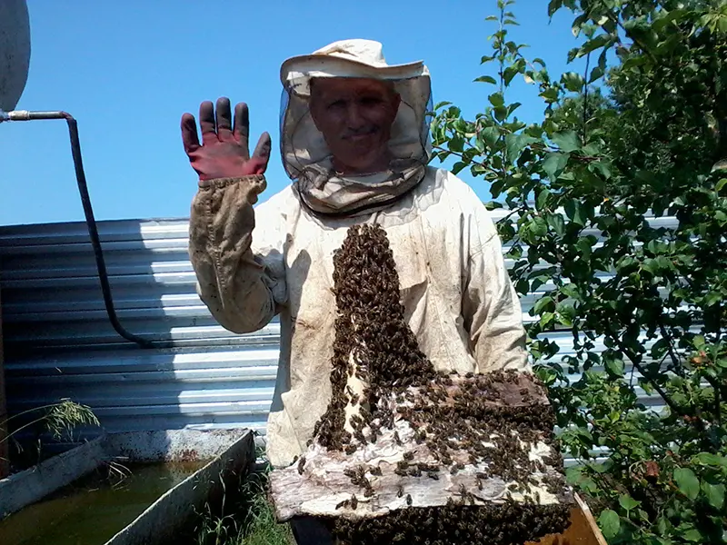 Ульи из пенополистирола